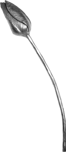 TULIPAN 50.189