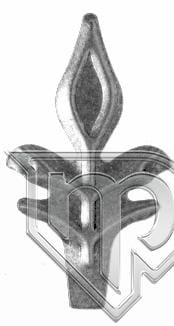 LIŚĆ 51.001 H100XL60 1MM