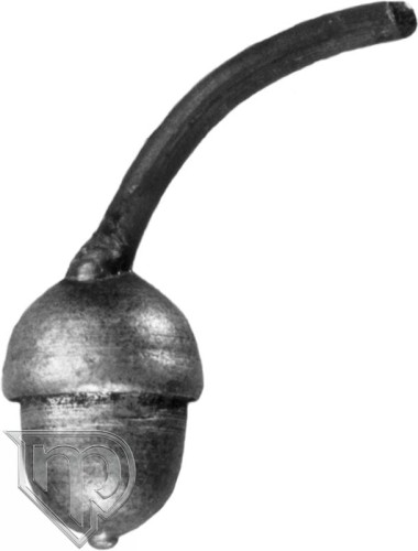 OWOC DĘBU 50.153